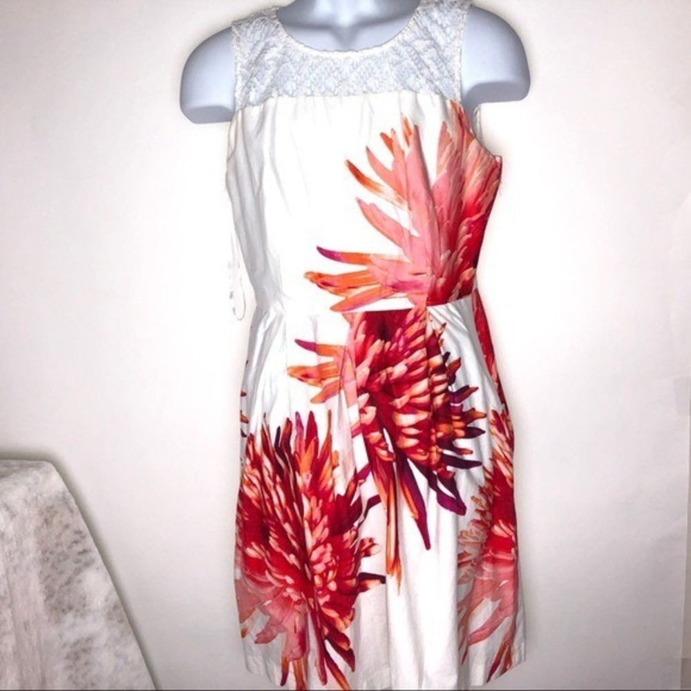 Sandra Darren Dress White Lace & Floral Graphic Size 10 Women's